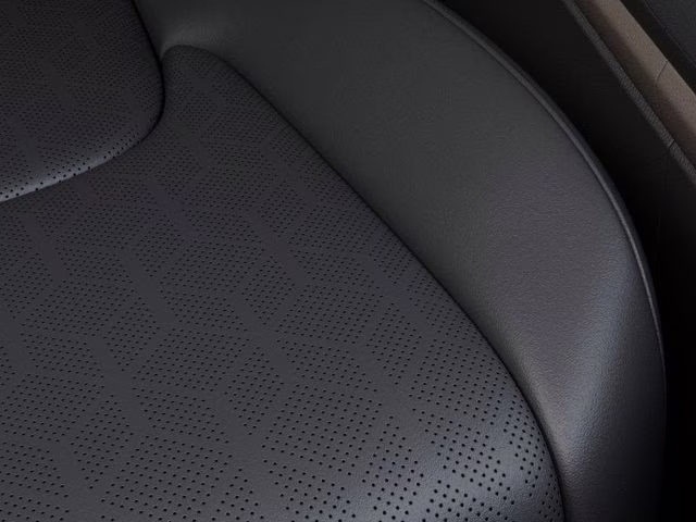 2026 Panthera Metal Kia Carnival LXS FWD Van