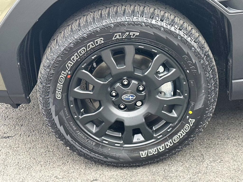 2026 Autumn Green Metallic Subaru Forester Wilderness AWD SUV