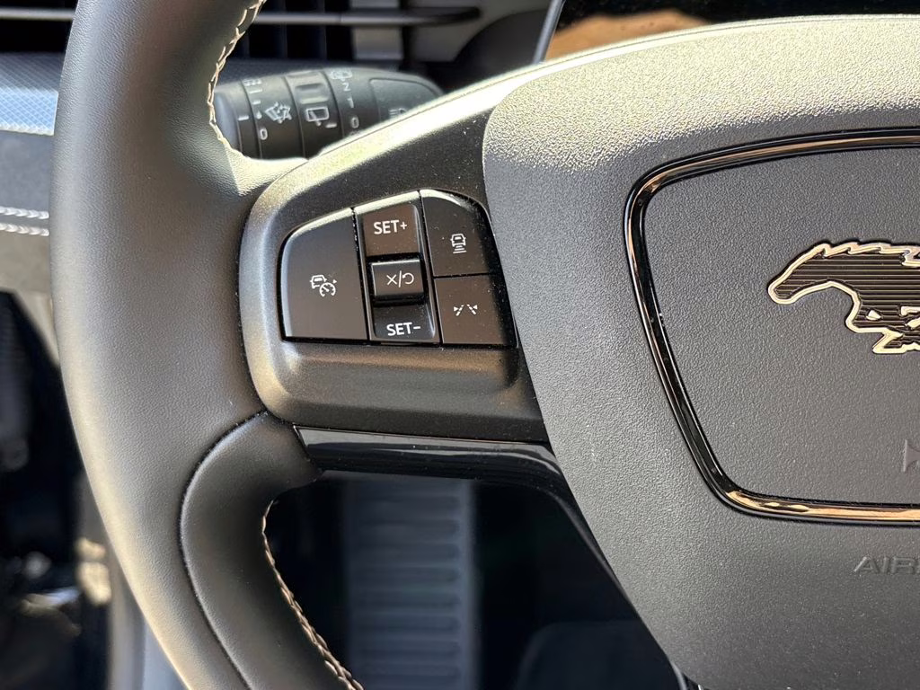 2025 Shadow Black Ford Mustang Mach-E GT AWD SUV