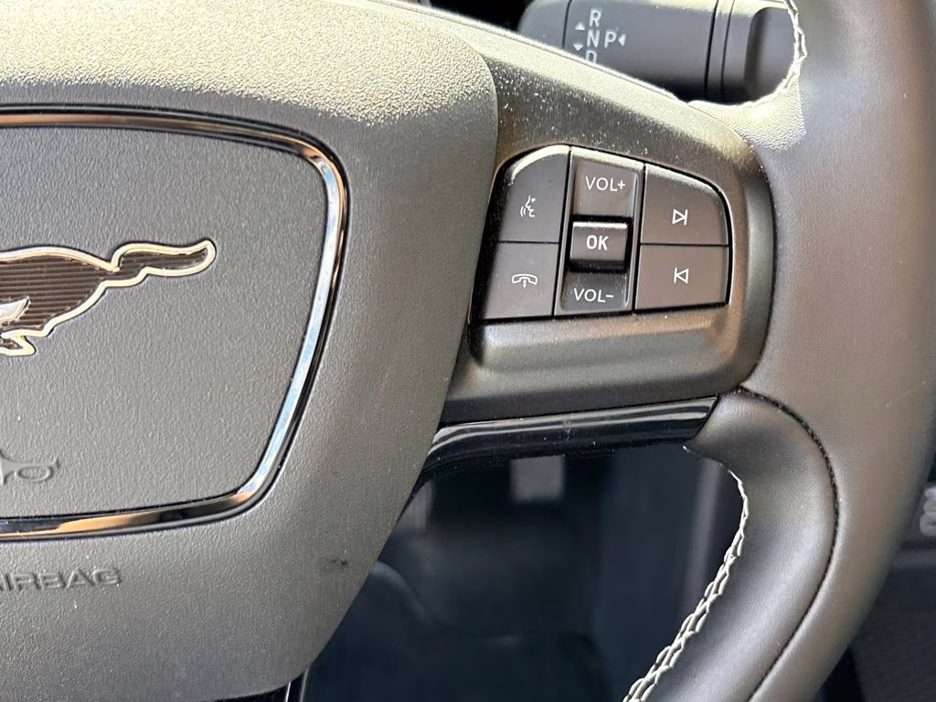 2025 Shadow Black Ford Mustang Mach-E GT AWD SUV