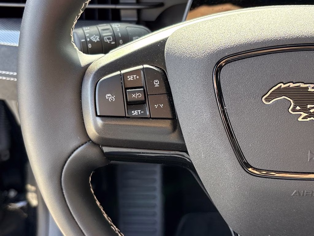 2025 Shadow Black Ford Mustang Mach-E GT AWD SUV