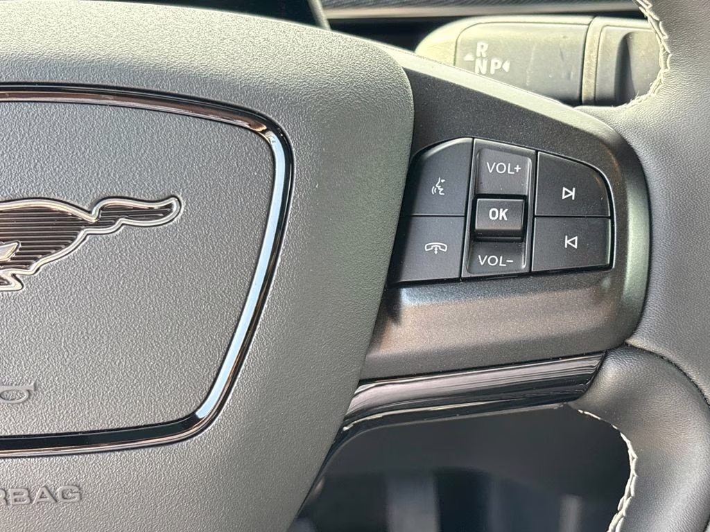 2025 Glacier Gray Met TriCoat Ford Mustang Mach-E GT AWD SUV