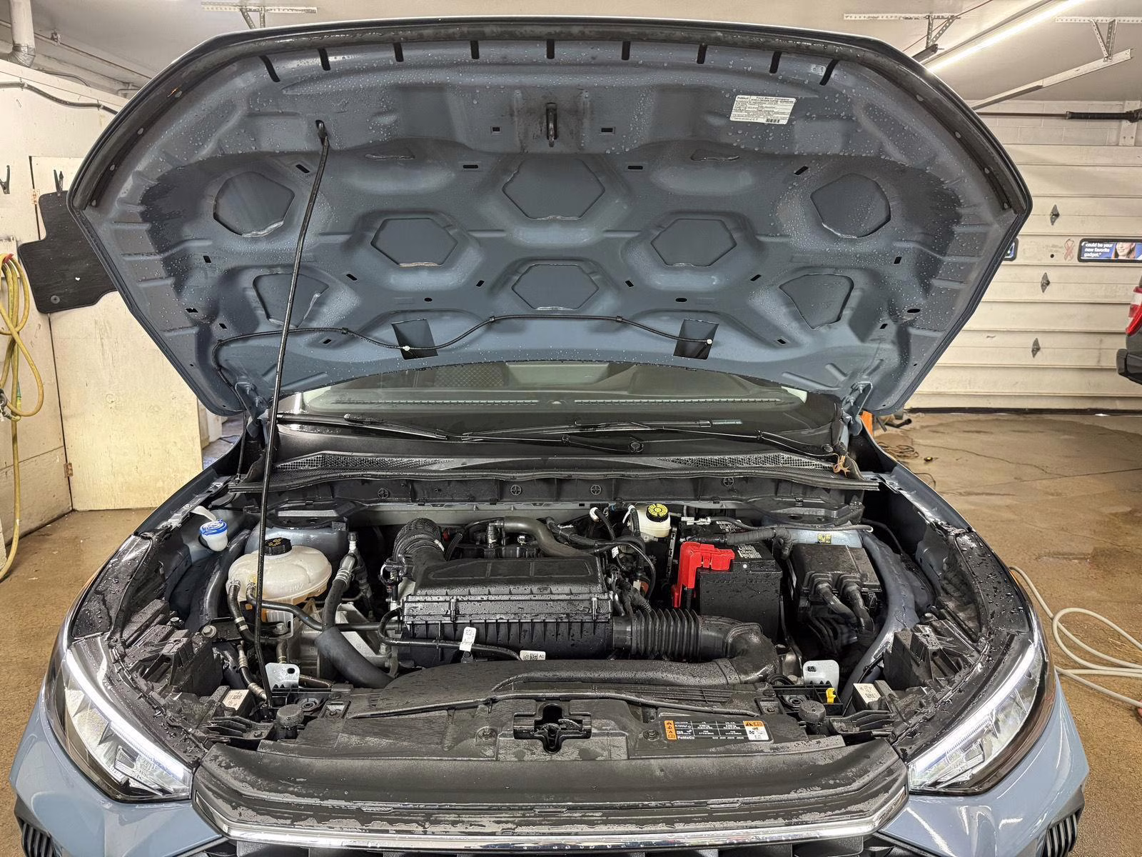 2024 Vapor Blue Metallic Ford Escape Active AWD SUV