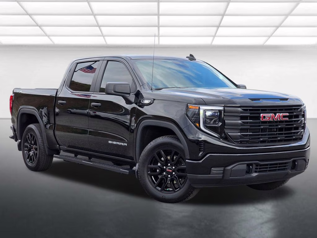 2025 Onyx Black GMC Sierra 1500 Pro 4X4 Truck