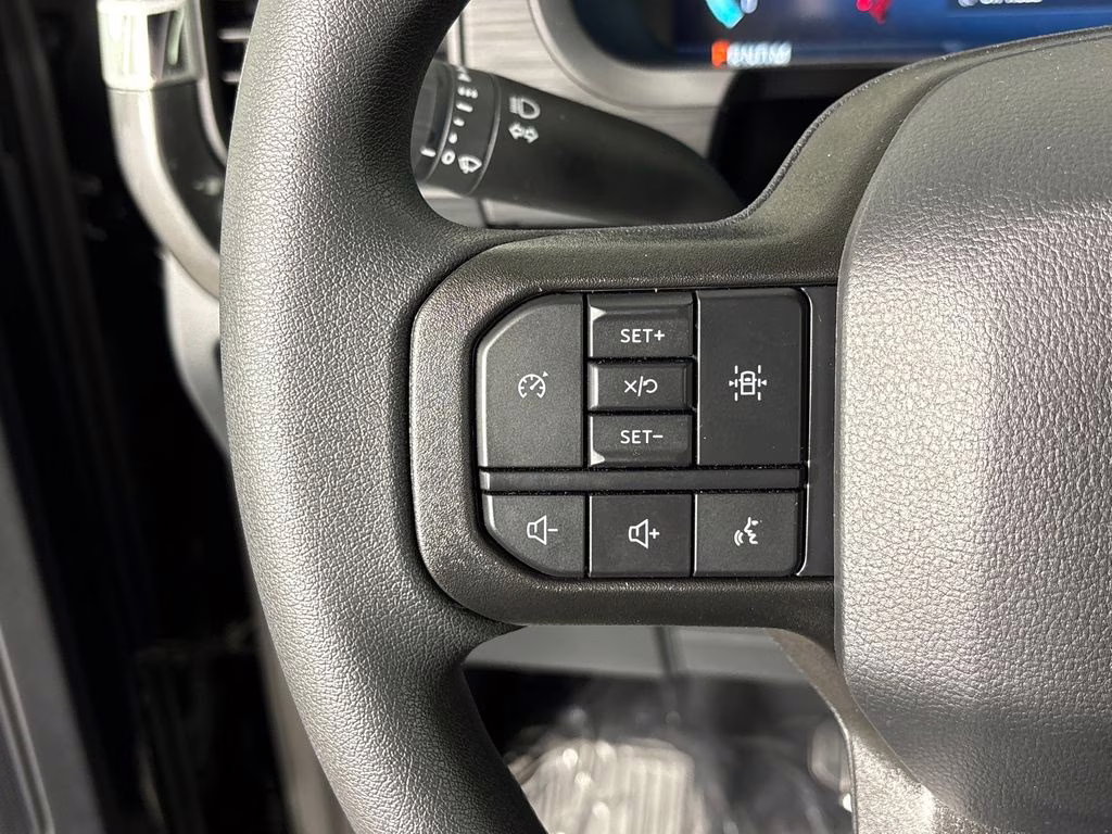 2026 Black Metallic Ford F-150 LOBO 4X4 Truck