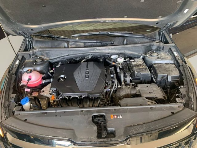 2026 Panthera Metal Kia Sportage X-Line AWD SUV