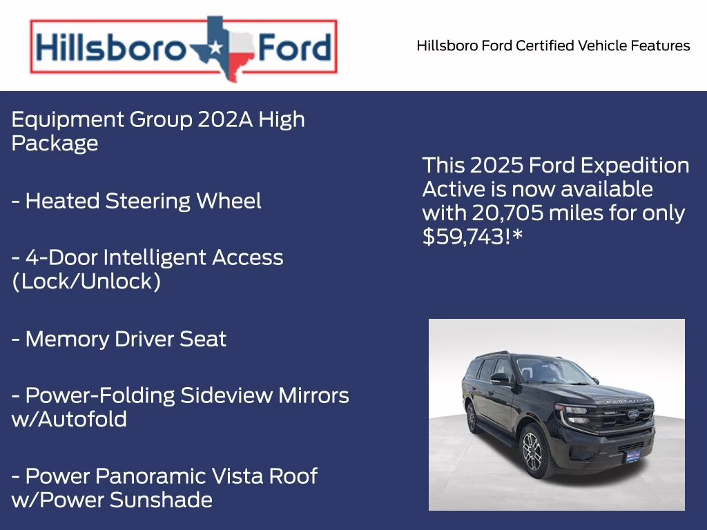 2025 Agate Black Metallic Ford Expedition Active 4X4 SUV