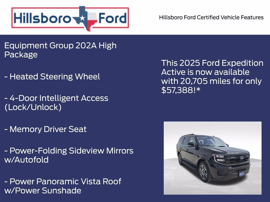 2025 Agate Black Metallic Ford Expedition Active 4X4 SUV