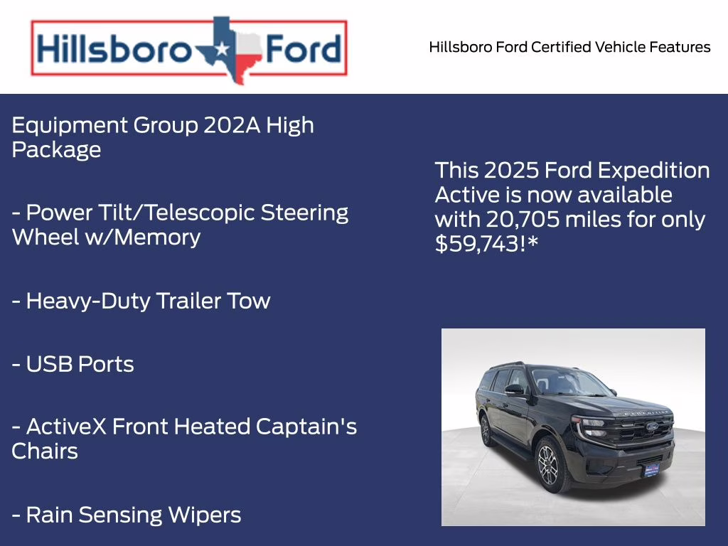 2025 Agate Black Metallic Ford Expedition Active 4X4 SUV