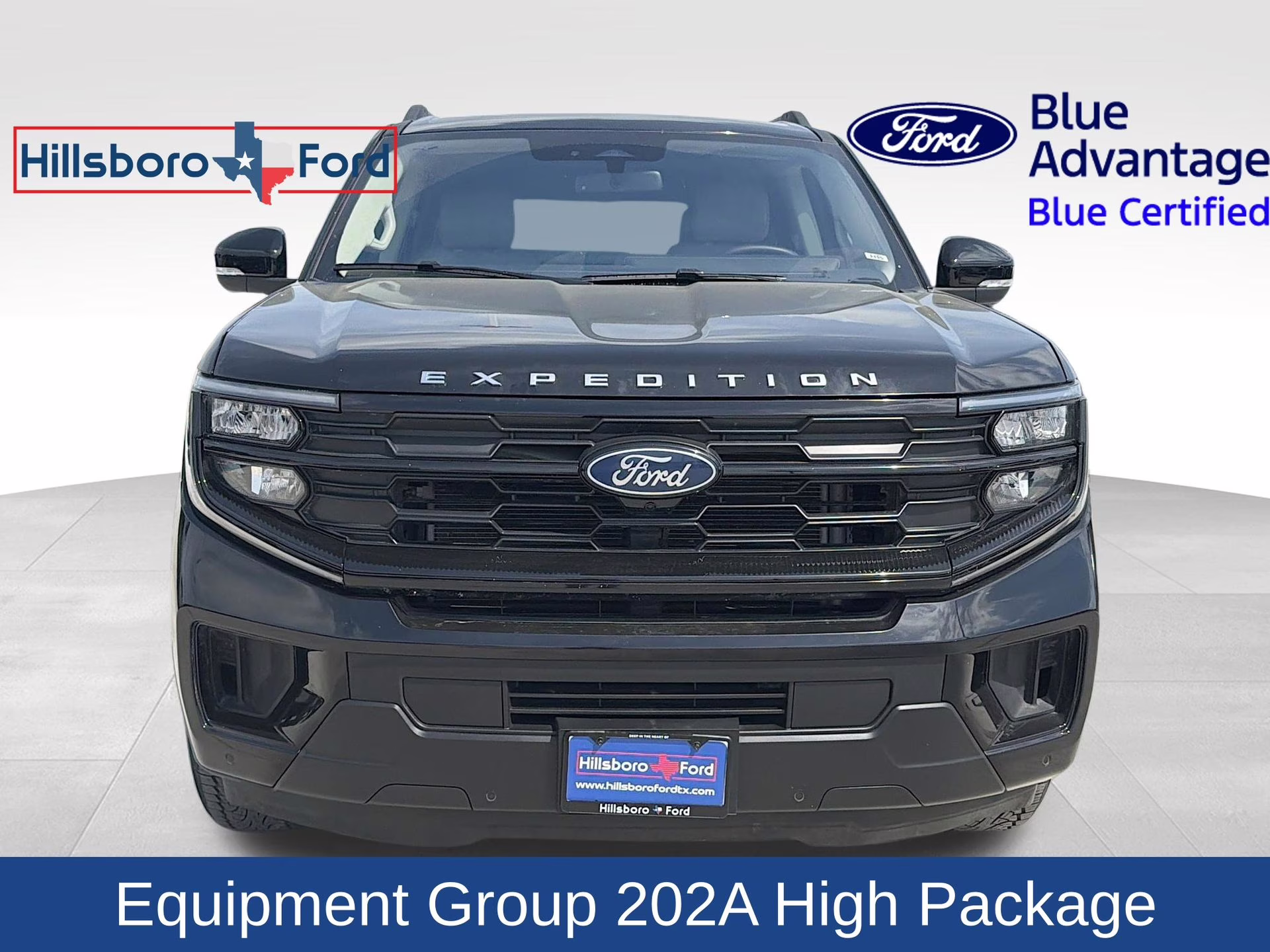 2025 Agate Black Metallic Ford Expedition Active 4X4 SUV