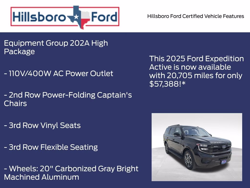 2025 Agate Black Metallic Ford Expedition Active 4X4 SUV