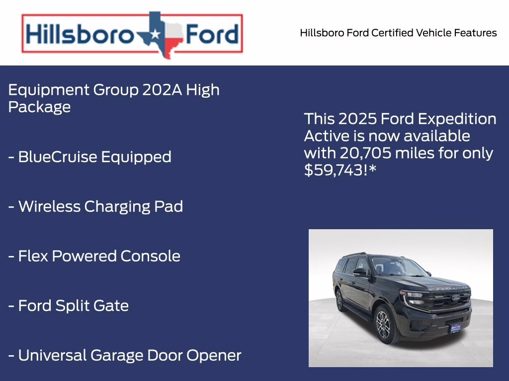 2025 Agate Black Metallic Ford Expedition Active 4X4 SUV