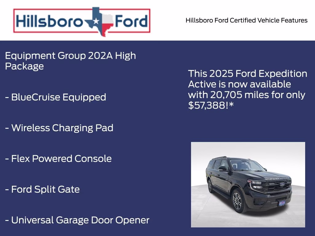 2025 Agate Black Metallic Ford Expedition Active 4X4 SUV