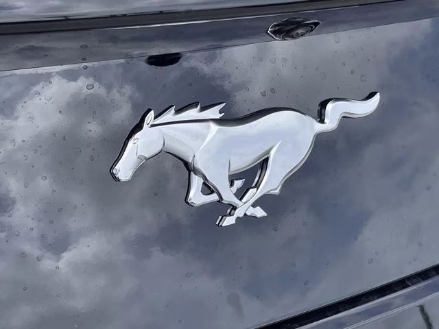 2026 Shadow Black Ford Mustang EcoBoost RWD Coupe