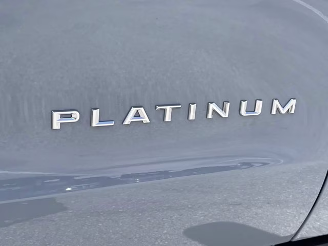 2026 Glacier Gray Metallic Tri-Coat Ford Expedition Max Platinum 4X4 SUV
