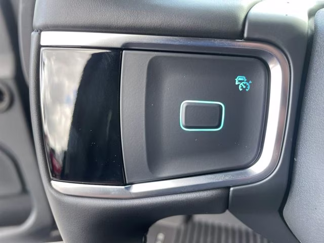 2026 Agate Black Metallic Ford Expedition Tremor 4X4 SUV