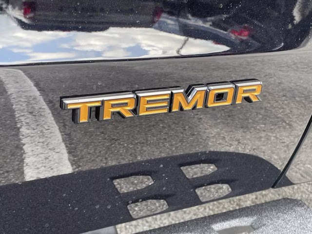 2026 Agate Black Metallic Ford Expedition Tremor 4X4 SUV