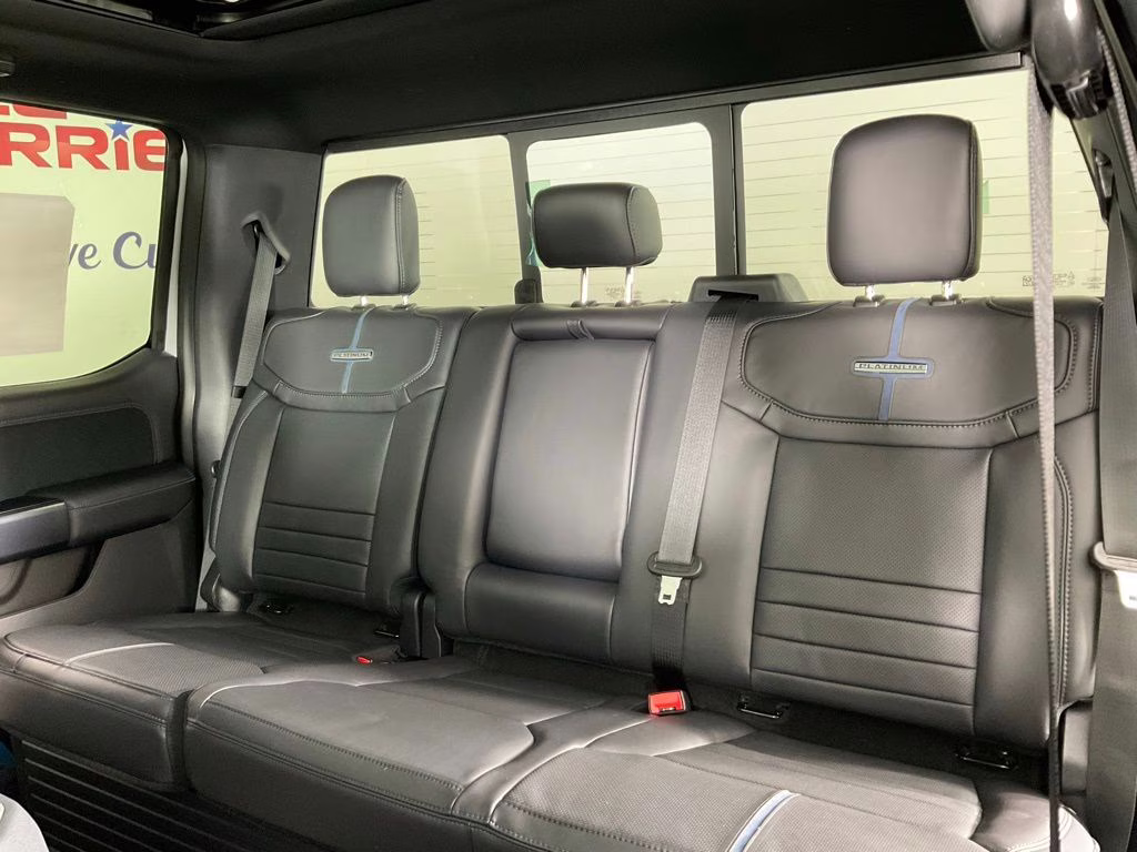 2026 Avalanche Ford Super Duty F-250 SRW Platinum 4X4 Truck