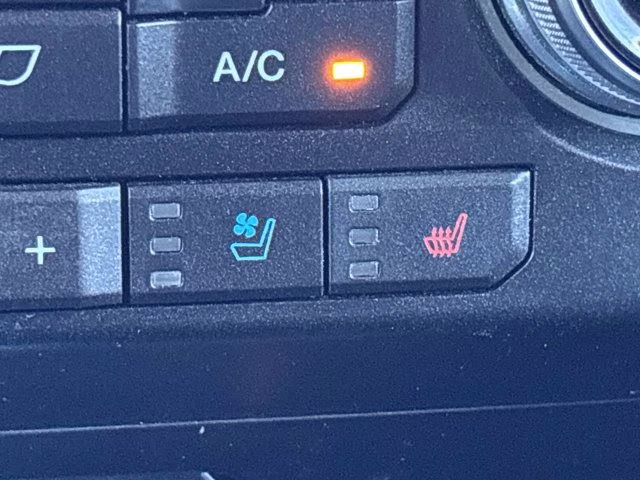 2019 Silver Spruce Metallic Ford F-150 Lariat 4X4 Truck