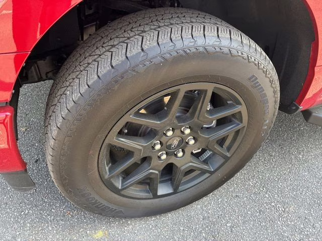 2025 Rapid Red Metallic Tinted Clearcoat Ford F-150 STX 4X4 Truck