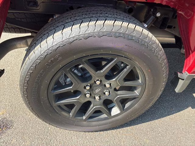 2025 Rapid Red Metallic Tinted Clearcoat Ford F-150 STX 4X4 Truck