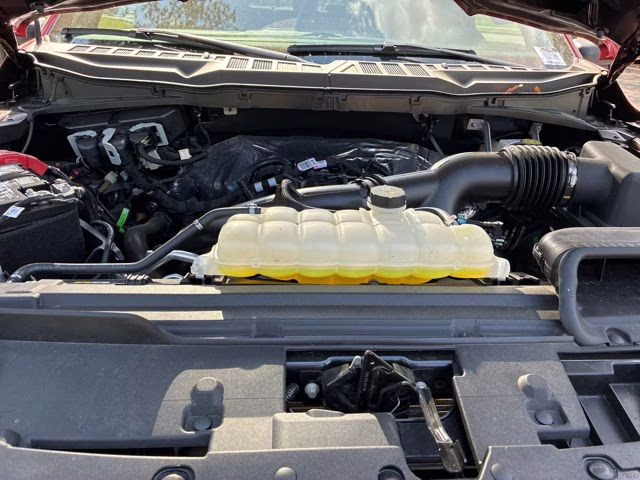 2025 Rapid Red Metallic Tinted Clearcoat Ford F-150 STX 4X4 Truck