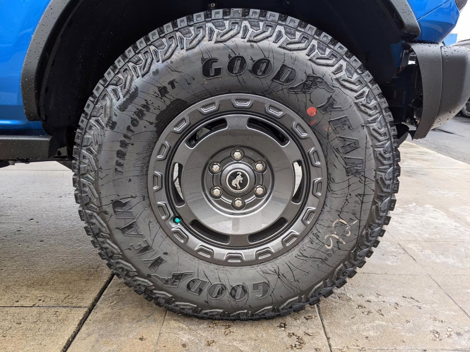 2025 Velocity Blue Ford Bronco Badlands 4X4 SUV