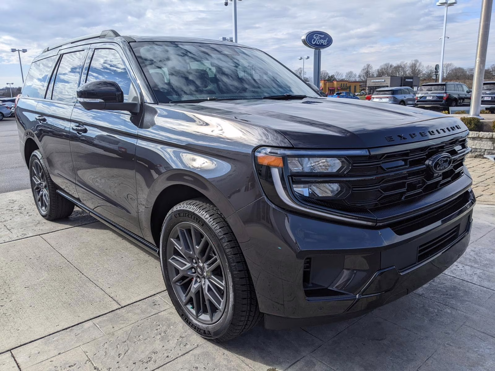 2025 Dark Matter Gray Ford Expedition Platinum 4X4 SUV