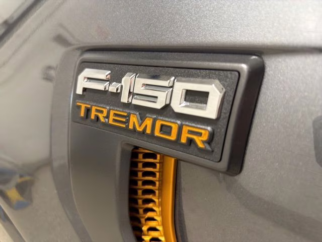 2026 Carbonized Gray Metallic Ford F-150 Tremor 4X4 Truck