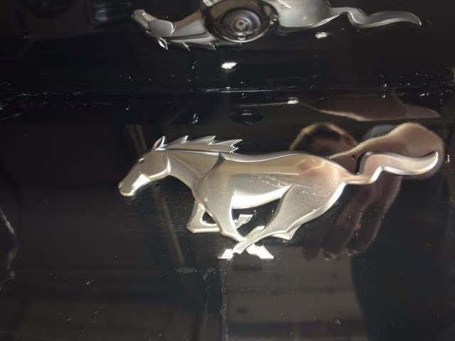 2026 Shadow Black Ford Mustang EcoBoost RWD Coupe