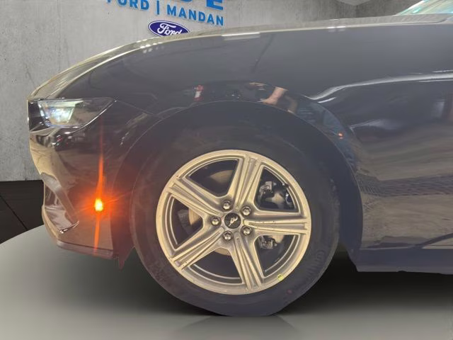 2026 Shadow Black Ford Mustang EcoBoost RWD Coupe