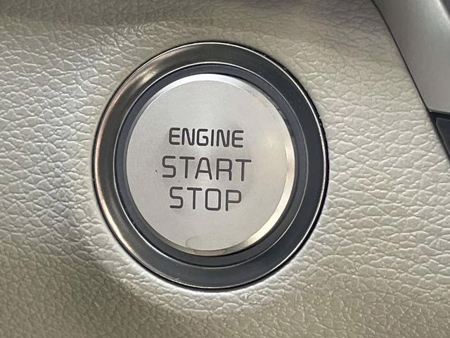 2022 Dark Moss Kia Telluride SX FWD SUV