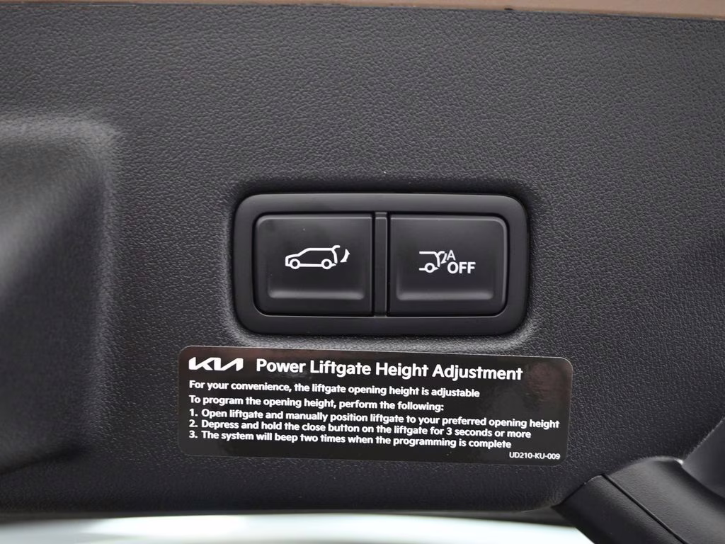 2027 Terrain Brown Matte Kia Telluride X-Line EX AWD SUV