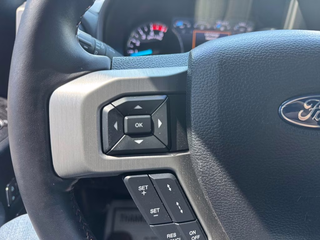 2019 Silver Spruce Ford Super Duty F-250 SRW Platinum 4X4 Truck