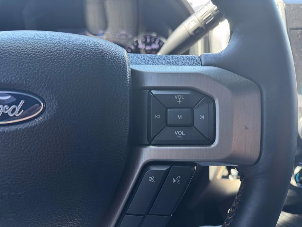 2019 Silver Spruce Ford Super Duty F-250 SRW Platinum 4X4 Truck