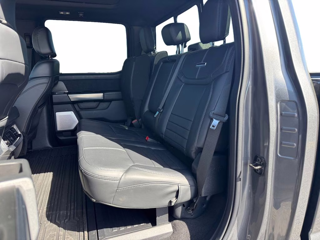 2025 Gray Metallic Ford Super Duty F-350 SRW Platinum 4X4 Truck