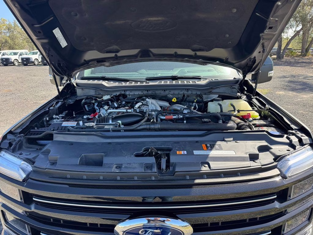 2025 Gray Metallic Ford Super Duty F-350 SRW Platinum 4X4 Truck