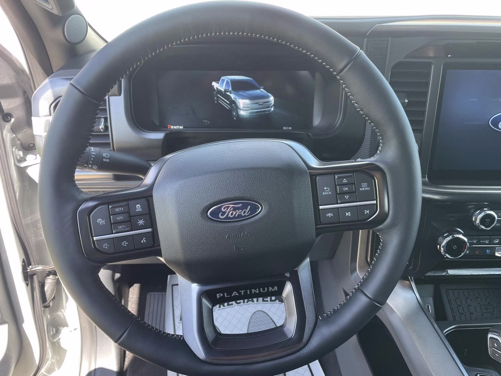 2026 Avalanche Gray Ford F-150 Platinum 4X4 Truck