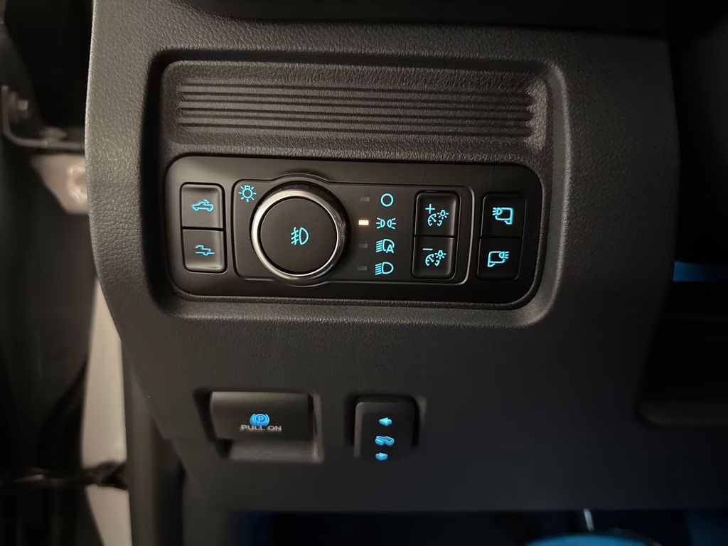 2026 Avalanche Ford Super Duty F-250 SRW Platinum 4X4 Truck