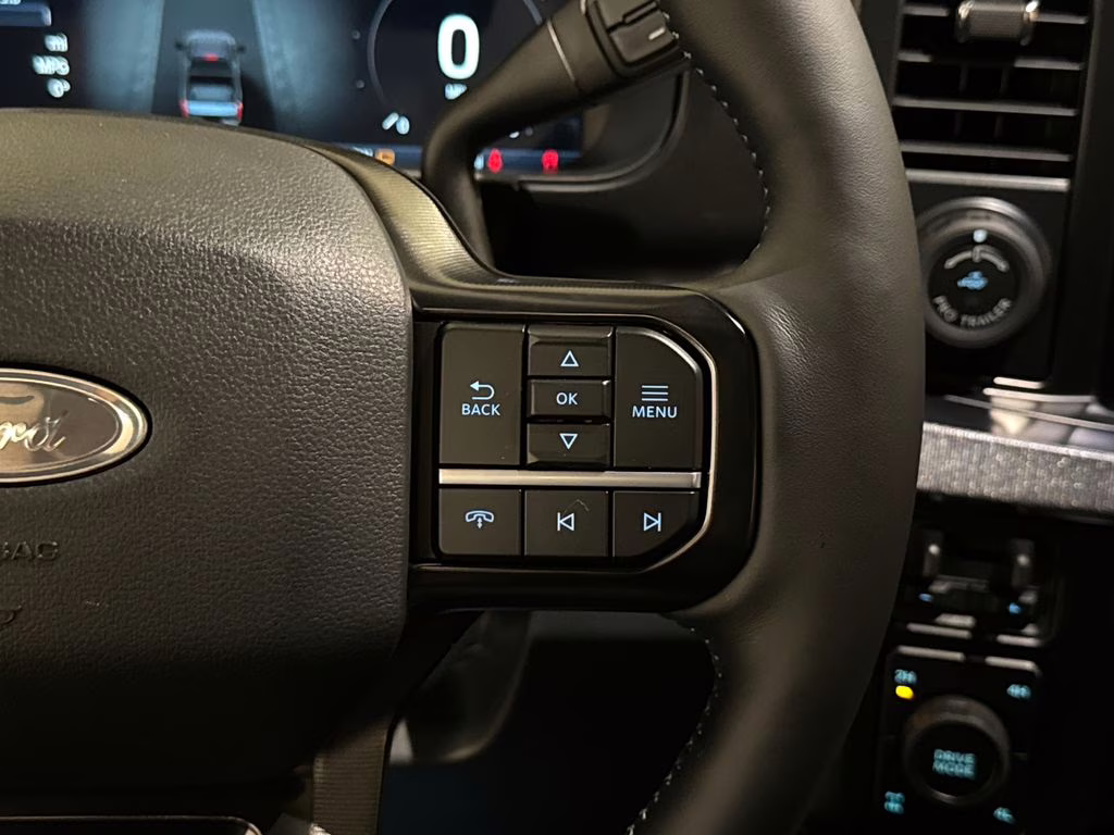 2026 Avalanche Ford Super Duty F-250 SRW Platinum 4X4 Truck