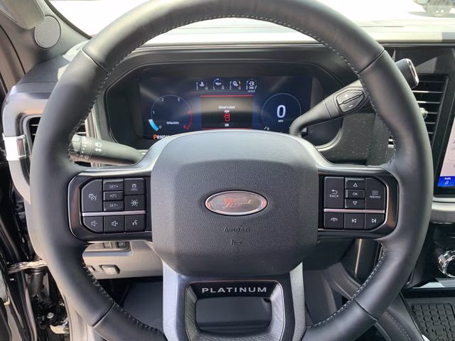 2025 Agate Black Metallic Ford Super Duty F-350 SRW Platinum 4X4 Truck