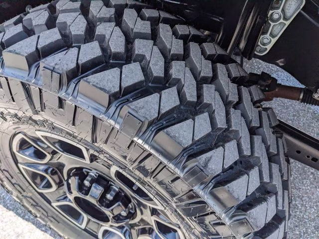 2025 Agate Black Metallic Ford Super Duty F-350 SRW Platinum 4X4 Truck