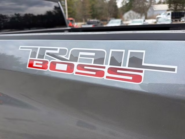 2019 Satin Steel Metallic Chevrolet Silverado 1500 Custom Trail Boss 4X4 Truck