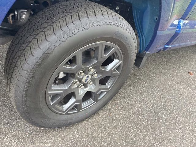 2026 Argon Blue Metallic Ford F-150 STX 4X4 Truck