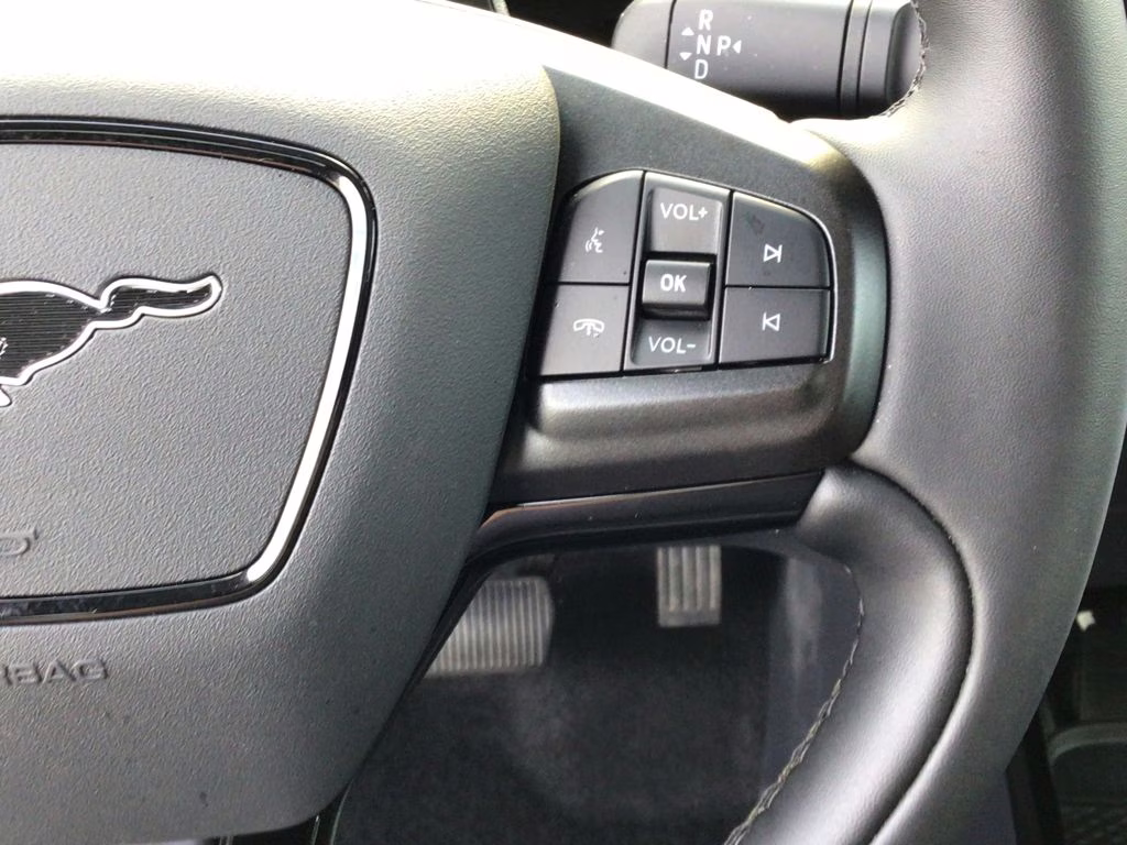 2025 Shadow Black Ford Mustang Mach-E Premium AWD SUV