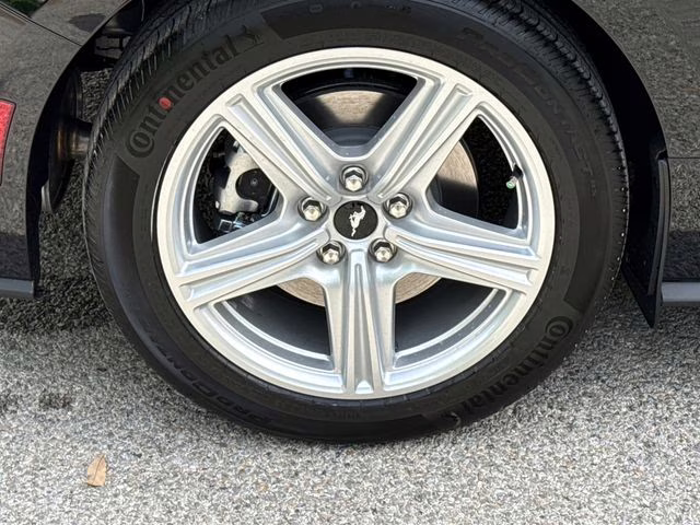 2026 Shadow Black Ford Mustang EcoBoost Premium RWD Coupe