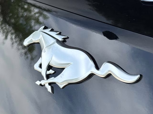 2026 Shadow Black Ford Mustang EcoBoost Premium RWD Coupe