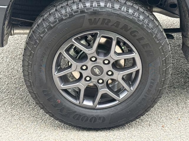 2026 Avalanche Ford Ranger XLT RWD Truck