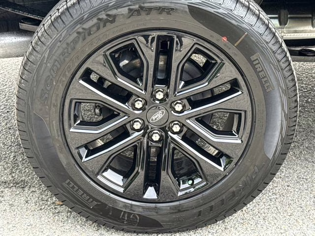 2026 Black Ford F-150 XLT 4X4 Truck