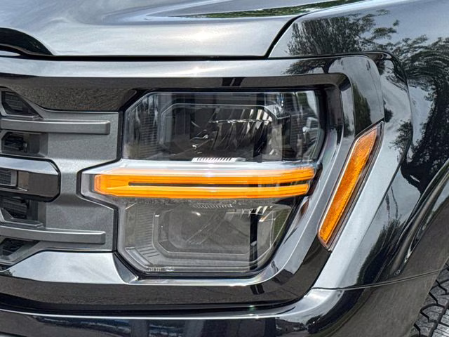 2026 Black Ford F-150 XLT 4X4 Truck